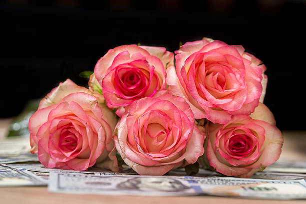 istock Beautiful rose and money 584757766