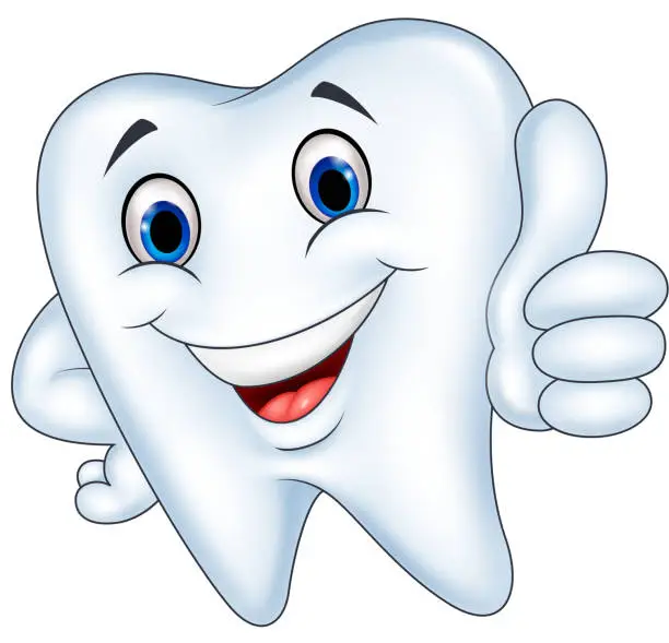 Vector illustration of Tooth cartoon with thumb up