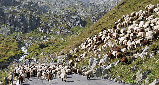 istock Traffic congestion on the Furka Pass 584758582