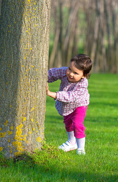istock Little girl hiding behind a tree in a forest 584759372