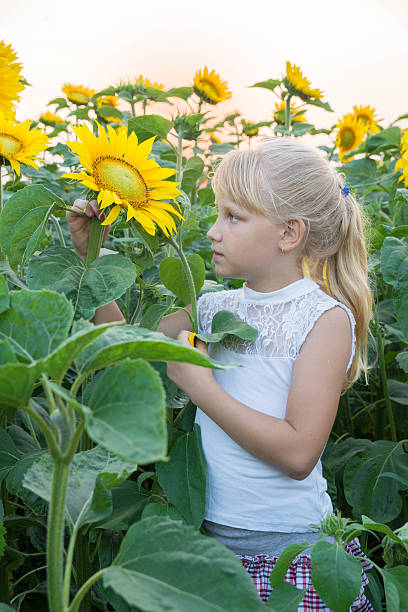 istock girl in the sunflowers 584760988