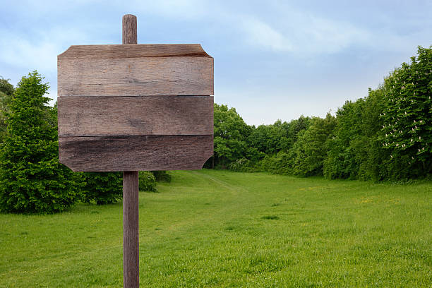 istock Landscape with wooden sign 584763034