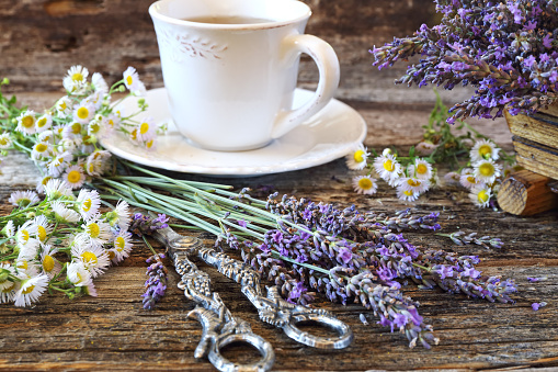 Аromatic lavender tea and wild chamomile