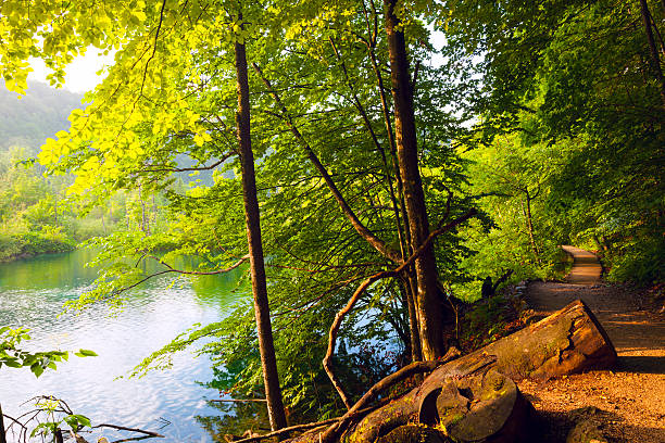 istock Plitvice lakes park in Croatia. 584764934