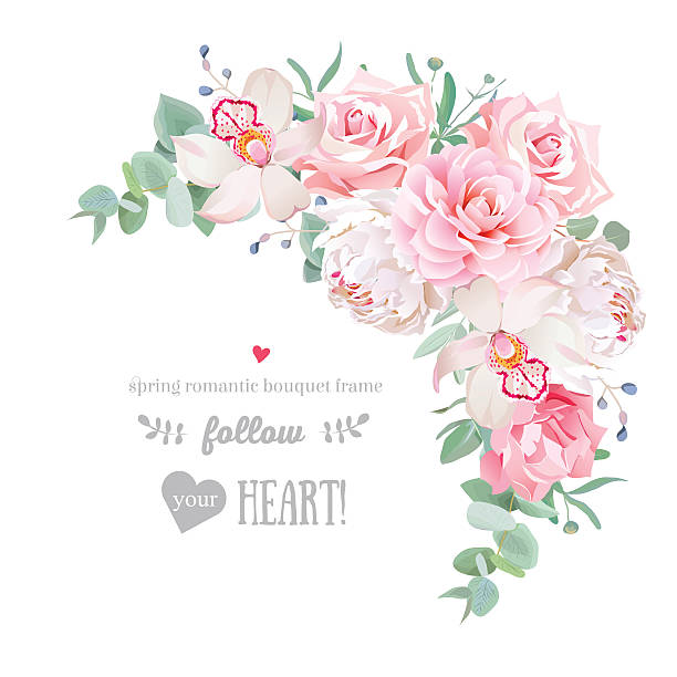 ilustrações, clipart, desenhos animados e ícones de delicada moldura de vetor floral com peônia, camélia, rosa, orquídea, cravo - wedding invitation rose flower floral pattern