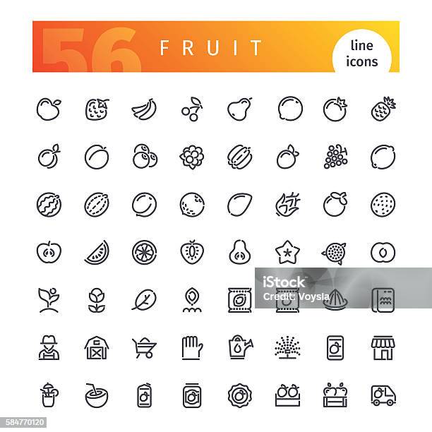 Fruit Line Icons Set Stock Illustration - Download Image Now - Apple - Fruit, Apricot, Assistance