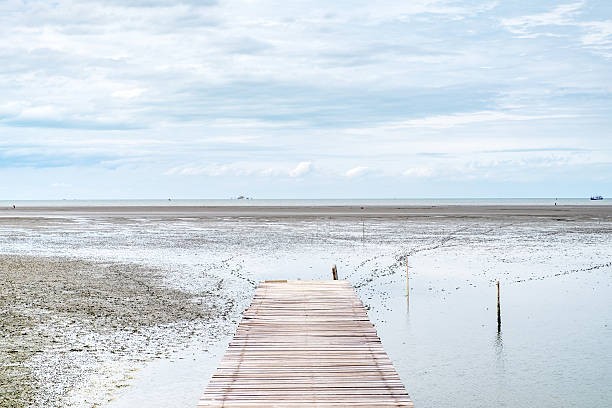 istock Wood bridge extends into the sea at ebb tide time 584770824