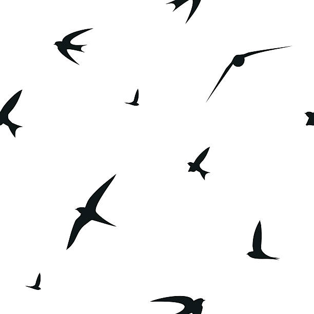 Swallow, swift, birds. Graphic vector pattern Swallow, swift, birds. Graphic vector pattern lark stock illustrations