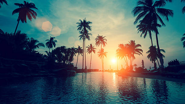 istock Fantastic sunset at a beach resort in tropics. 584773360