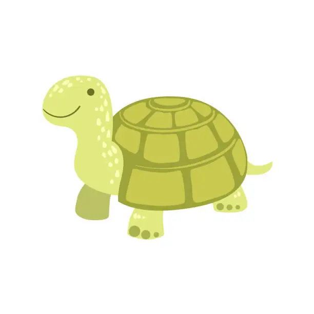 Vector illustration of Tortoise Stylized Childish Drawing