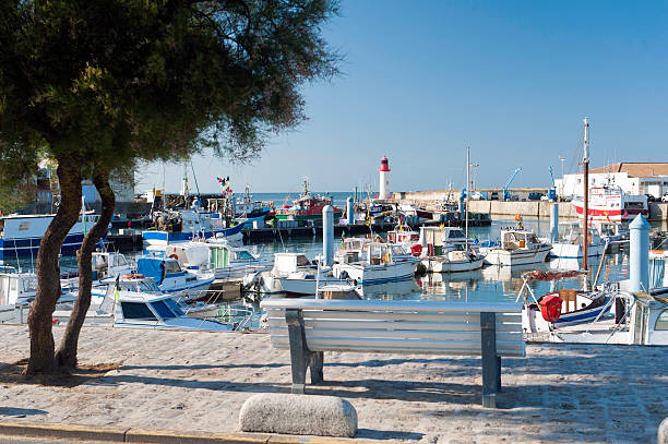 istock ile oleron in France 584774324