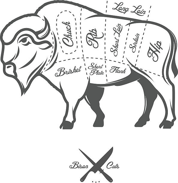 vintage metzger schnitte von bison büffel schema diagramm - wound cutting beef vector stock-grafiken, -clipart, -cartoons und -symbole