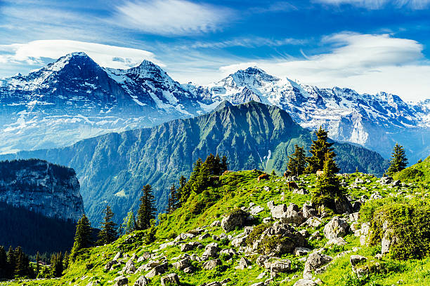 desde la izquierda, eiger, monch, jungfrau, paisaje - monch fotografías e imágenes de stock