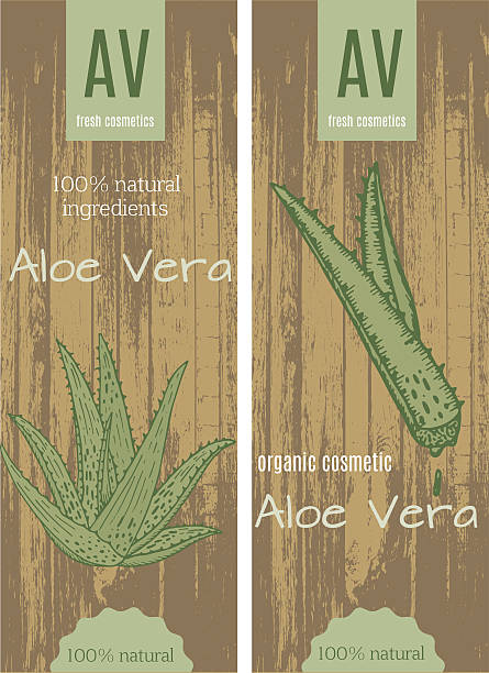 アロエベラカード - herbal medicine recovery herb human hand点のイラスト素材／クリップアート素材／マンガ素材／アイコン素材