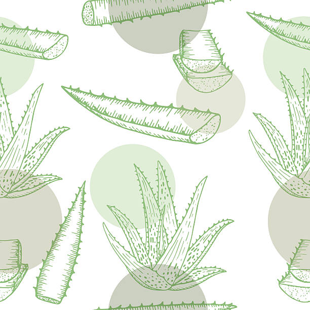 アロエベラパターン - herbal medicine recovery herb human hand点のイラスト素材／クリップアート素材／マンガ素材／アイコン素材