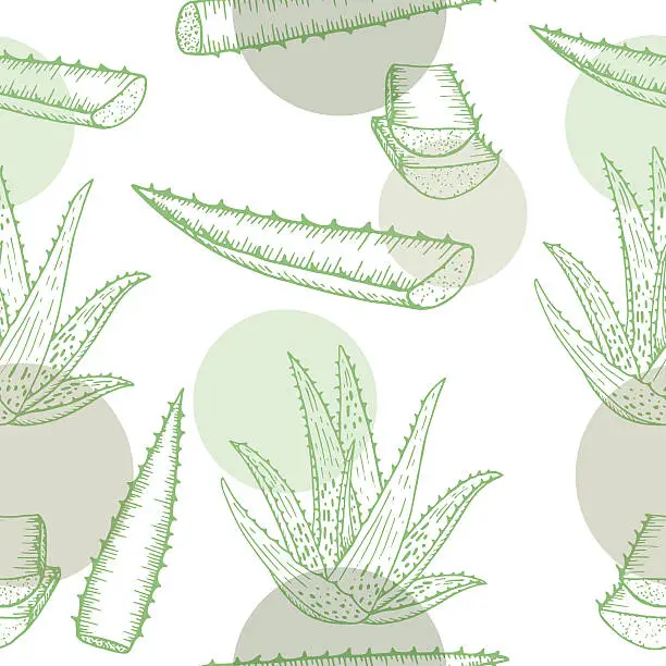 Vector illustration of Aloe Vera pattern