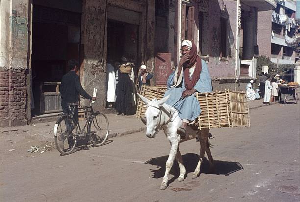 granjero egipcio en burro en el cairo - kraft paper fotografías e imágenes de stock