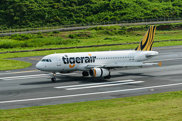 tiger air air plane landing at phuket airport - wheel airplane landing air vehicle imagens e fotografias de stock