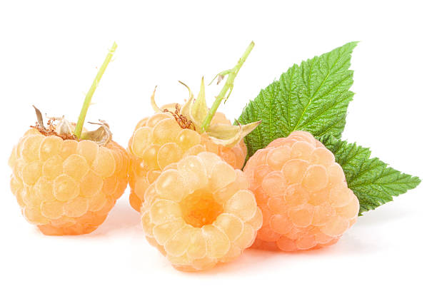 istock yellow raspberries with leaf isolated on white background macro 584790046