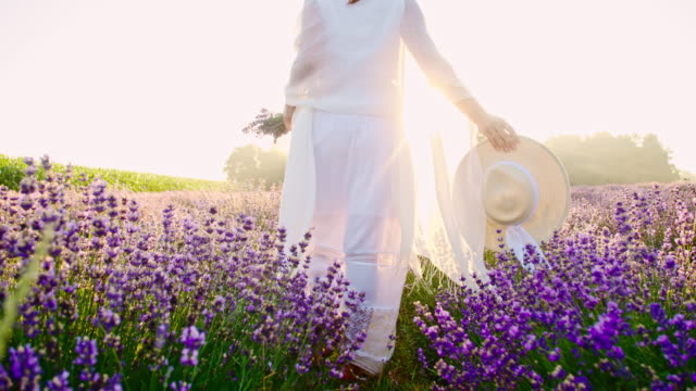 SLO MO Woman in white dress walking in field of lavender
