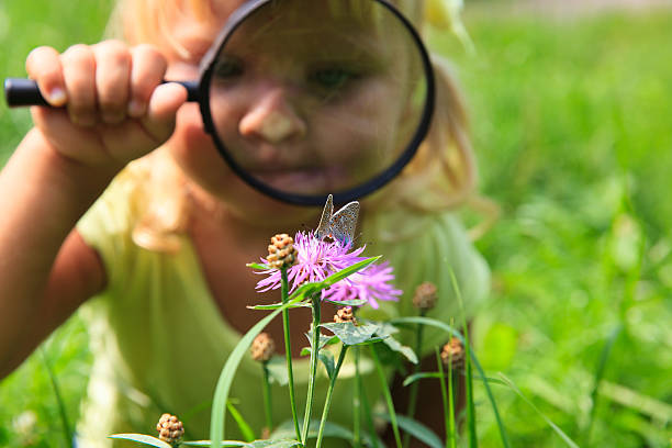 istock Little girl examining batterfies on flower using magnifying glass 584845680