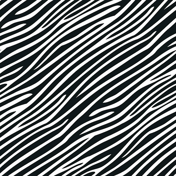 ilustrações de stock, clip art, desenhos animados e ícones de seamless zebra skin pattern - zebra