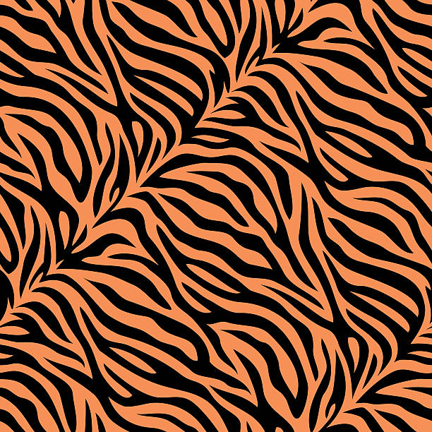 bezszwowe wzór skóry tygrysa - wild tiger stock illustrations