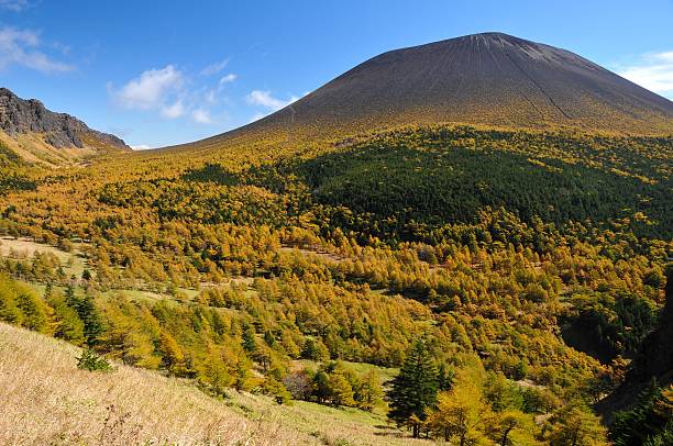 Mt.Asama Mt. Asama and the yellow leaves of larch larix kaempferi stock pictures, royalty-free photos & images