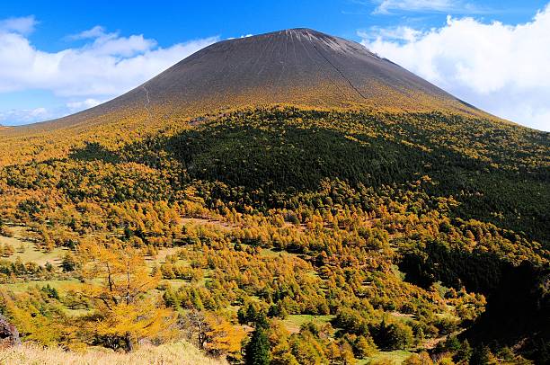 Mt.Asama Mt. Asama and the yellow leaves of larch larix kaempferi stock pictures, royalty-free photos & images