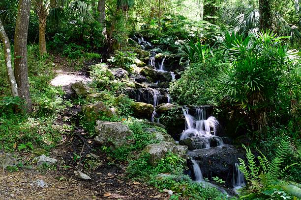 istock Waterfall flowing down moss covered rocks along green foliage 584849272