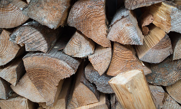 istock Dry chopped firewood logs in a pile 584850122