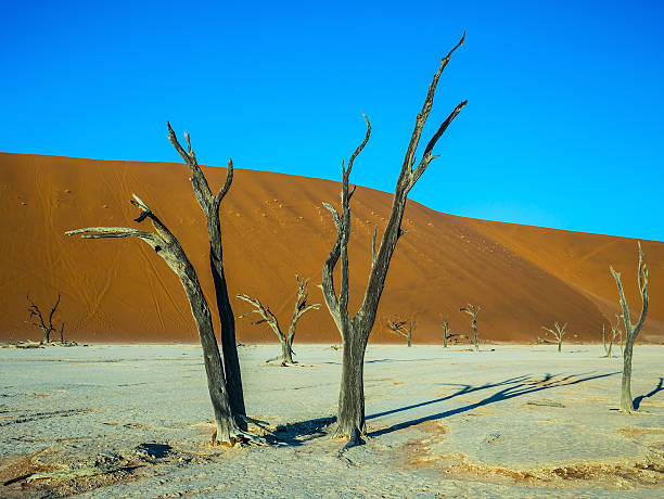 istock The dried up lake 584850482