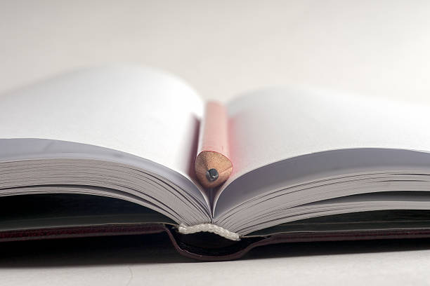 istock Close-up of open book and pen. 584850522