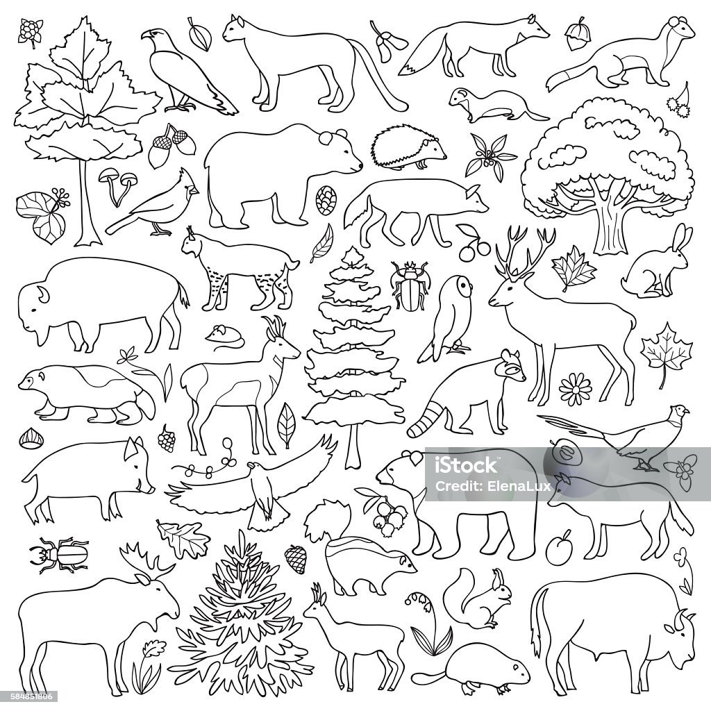 Doodle Forest Animals Stock Illustration - Download Image Now - Icon Set,  Abstract, Animal - iStock
