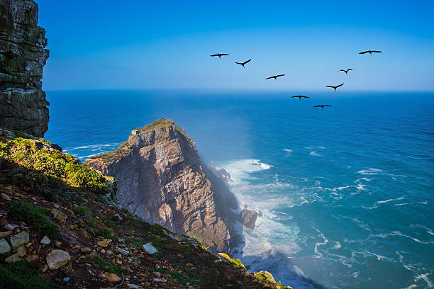 istock Flock of migratory birds at sunset 584853796