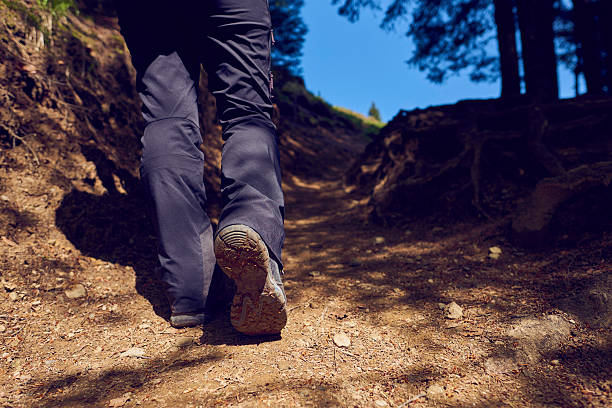 istock hiker legs walking on the mountain 584855004