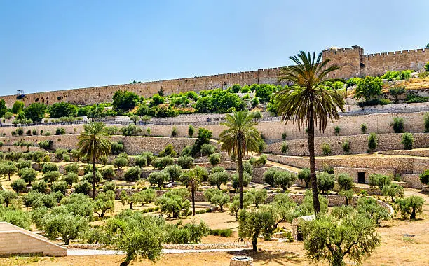 Photo of City Walls of Jerusalem above the Kidron Valley