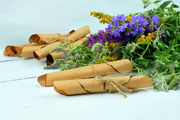 istock Natural medicine, herbs  .The old scrolls with recipes. 584858426