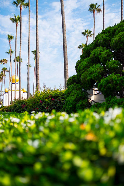istock Encinitas California Coast Highway 101 584860946