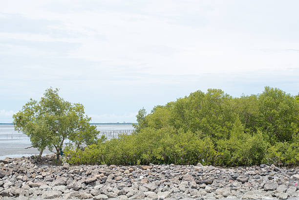 koh larn island