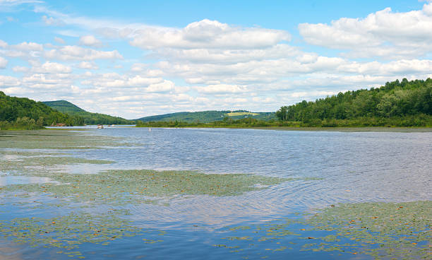 water lake with waterlilies and cloudy sky reflections and mountains landscape panoramic, water pound with waves reflections and mountains, waterlilies and cloudy sky lake magog photos stock pictures, royalty-free photos & images