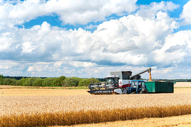 istock Harvest season. Combine cutting wheat on the field. 584864654