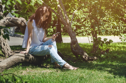 Beautiful dark-haired woman uses a smartphone sitting on the tree in the park