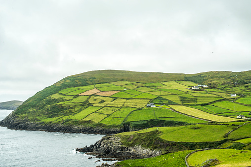 Rural farmhouses and landscape, Dursey Head, Beara peninsula, County Cork, Ireland