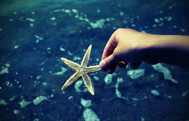 istock starfish on the sea shore in summer 584873272