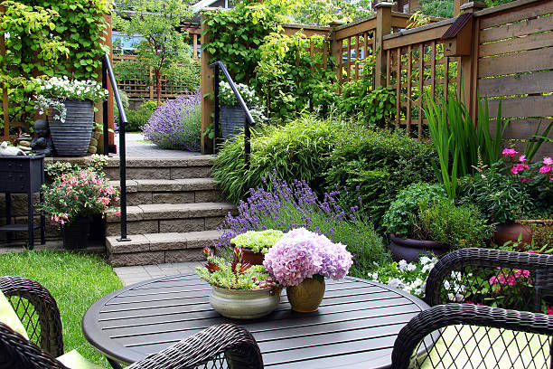 Small garden Small townhouse perennial summer garden. ornamental garden stock pictures, royalty-free photos & images