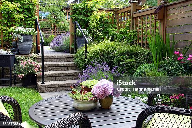 Small Garden Stock Photo - Download Image Now - Yard - Grounds, Ornamental Garden, Small