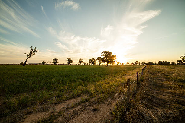 буш - farm fence landscape rural scene стоковые фото и изображения