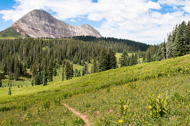 istock Coal creek trail through green foliage and Engineer mountain 584879394
