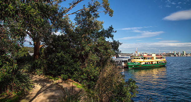 паром в зоопарке таронга, сидней - taronga стоковые фото и изображения